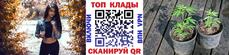 Виды наркоты Киреевск A-PVP  Меф 