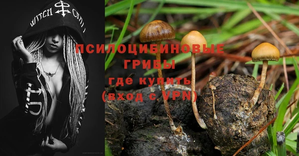 дживик Нефтекумск