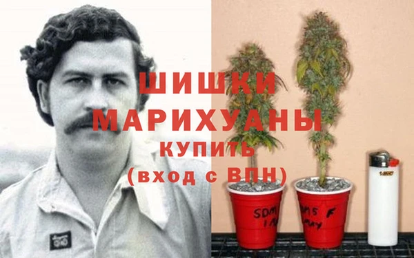первитин Нея