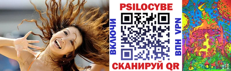 хочу наркоту  Киреевск  Псилоцибиновые грибы Cubensis 